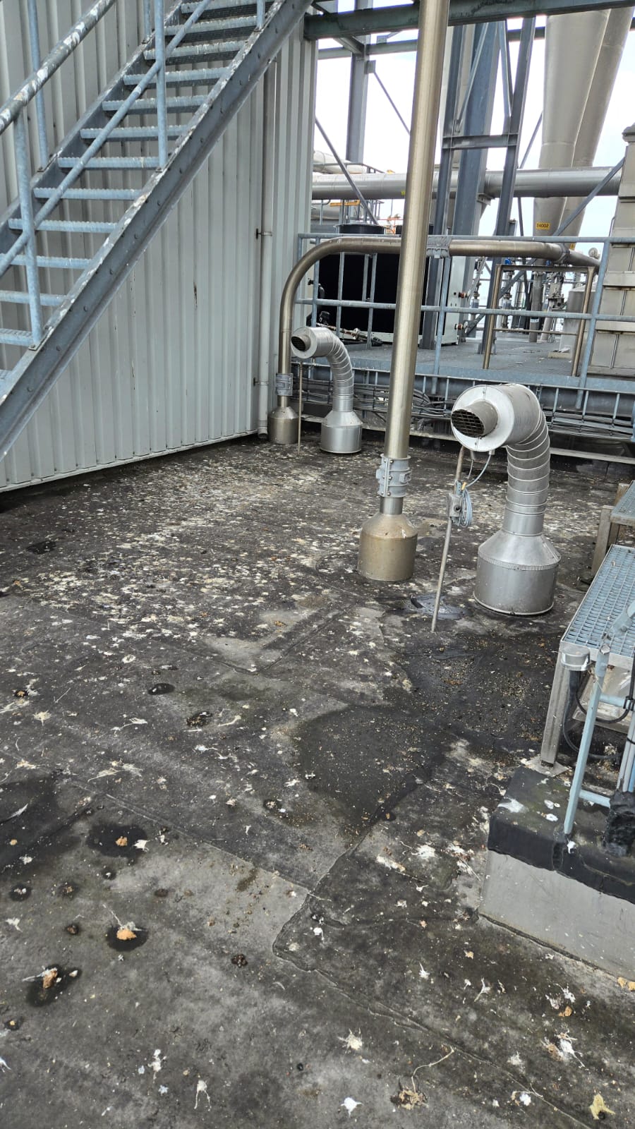 Vervuiling door duiven en meeuwen op een industrieel dak