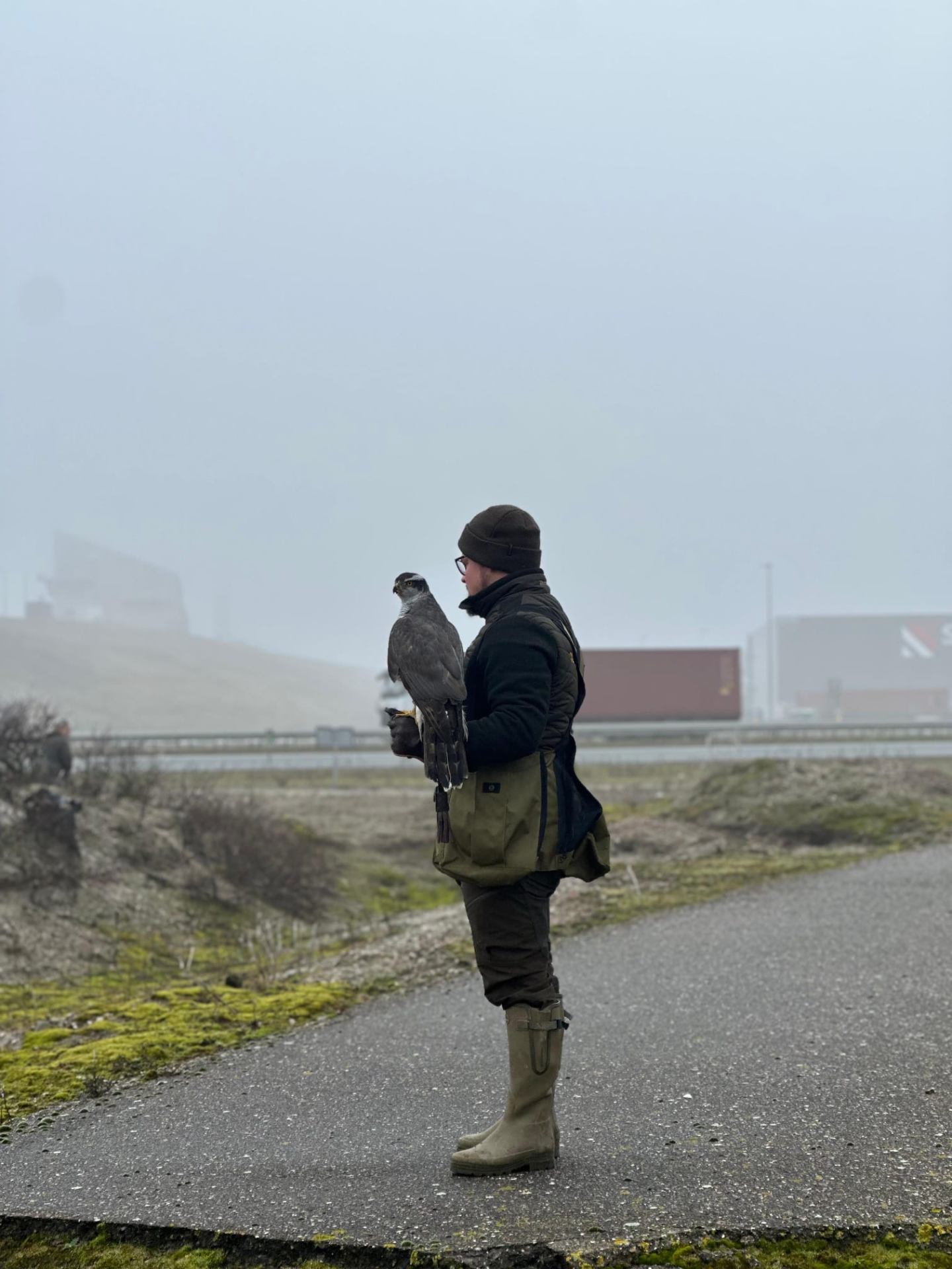 Valkenier met havik bij industrieterrein in de mist
